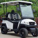 Bintelli golf cart reviews