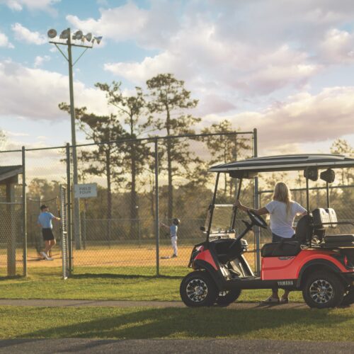 Honest Coleman Golf Cart Review