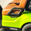 2025 Peridot Green Yamaha PTV/Gas - Image 4