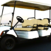 2012-2014 Yamaha 6 Passenger/ Gas & Electric