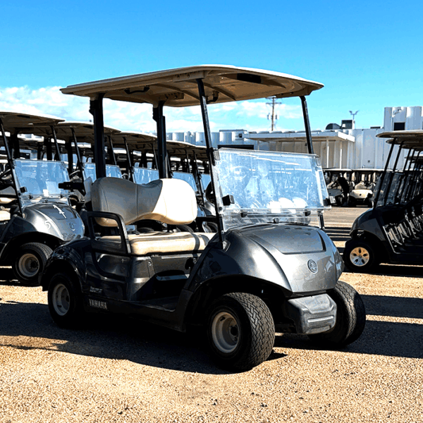 2019 Yamaha YDRA EFI QuieTech Carbon Metallic/ Gas