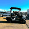 2025 Carbon Metallic Umax EFI Utility Golf Cart/ Gas - Image 2