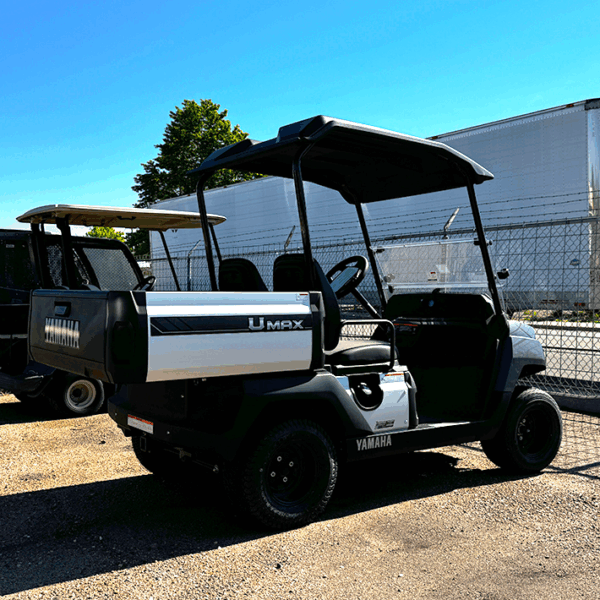 2025 Carbon Metallic Umax EFI Utility Golf Cart/ Gas - Image 3