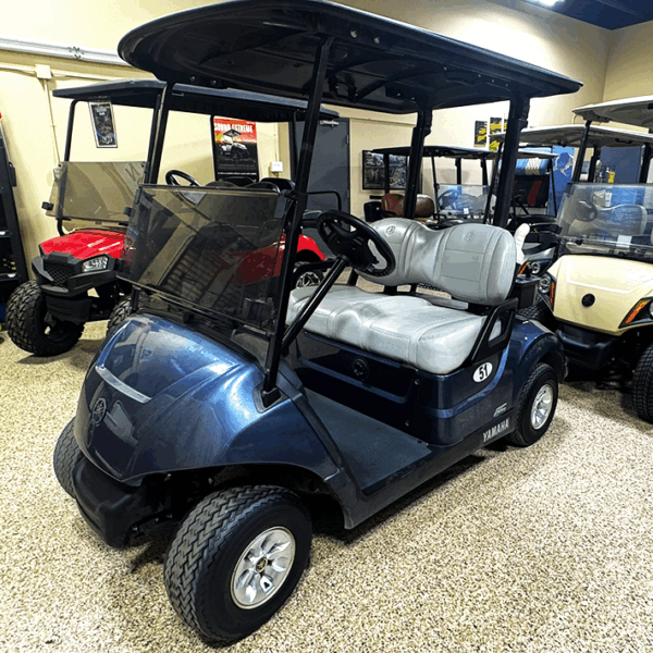 2020 Bluestone Yamaha AGM/ Electric