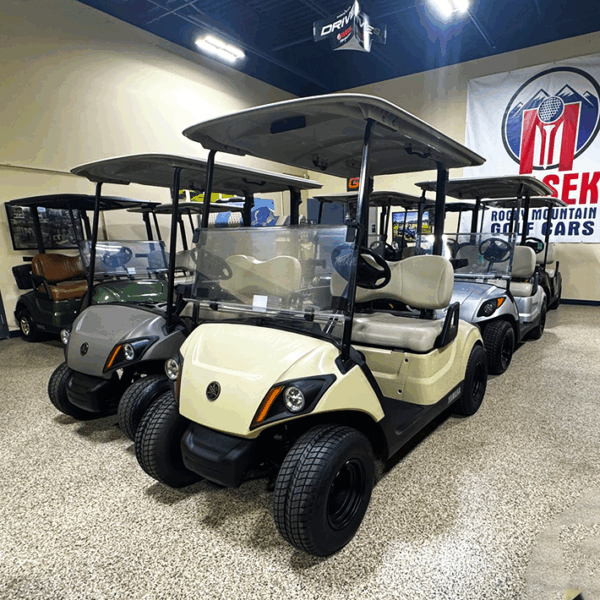 2018 Sandstone Yamaha PTV/ Electric