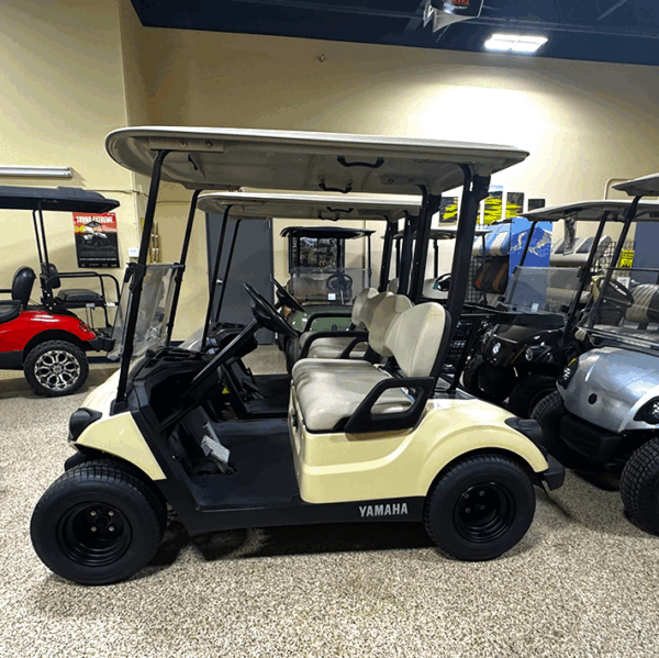 2018 Sandstone Yamaha PTV/ Electric - Image 2