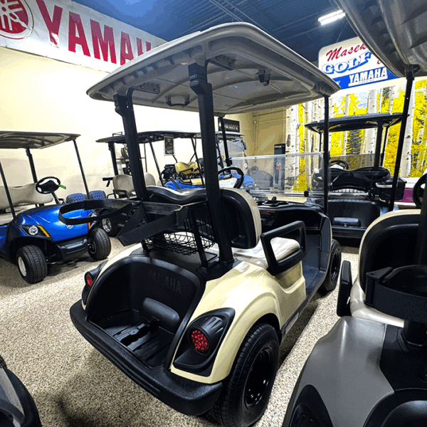 2018 Sandstone Yamaha PTV/ Electric - Image 4