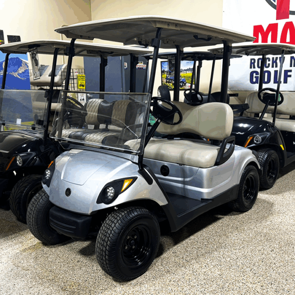 2015 Moonstone Yamaha PTV/ Electric