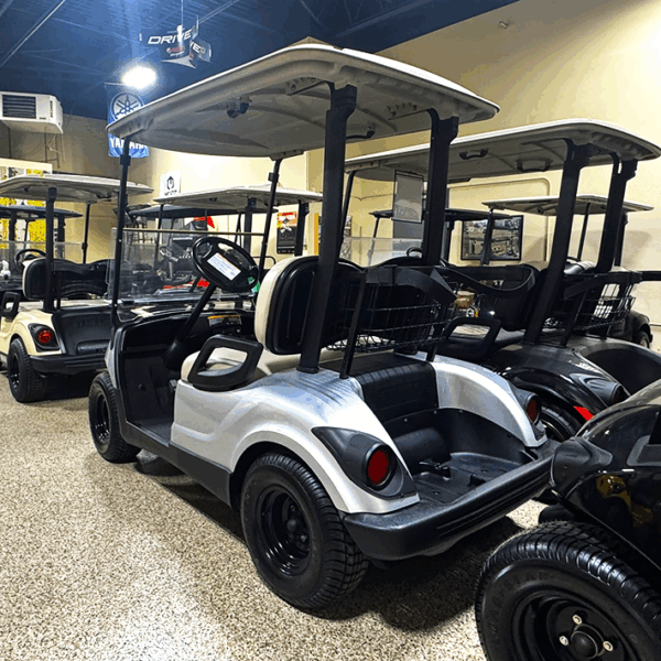 2015 Moonstone Yamaha PTV/ Electric - Image 4