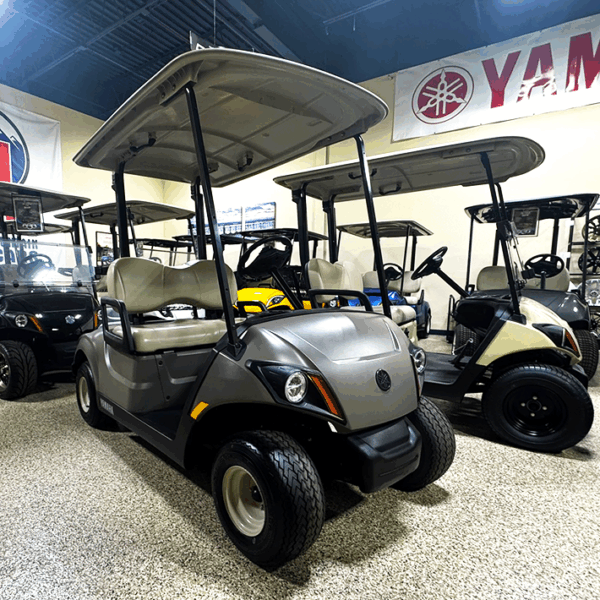 2020 Yamaha PTV Titan/ Electric