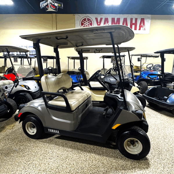 2020 Yamaha PTV Titan/ Electric - Image 2